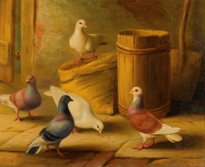 Chickens; Pigeons by Edgar Hunt, 1912 — digital art print download