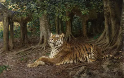 Reclining Tiger by Геза Вастаг — digital art print download