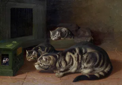 Curiosity by Horatio Henry Couldery — digital art print download
