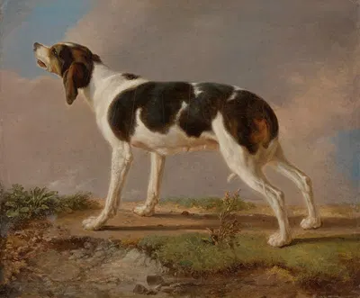 A Hunting Dog by Жак-Лоран Агаз — digital art print download