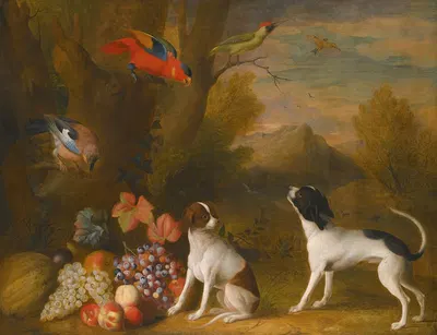 Landscape With Exotic Birds And Two Dogs by Jakob Bogdány — digital art print download