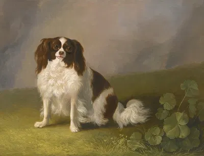 Portrait Of A King Charles Spaniel In A Landscape by Якоб Филипп Хакерт — digital art print download