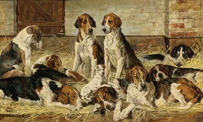 Hounds At Rest by John Emms — digital art print download