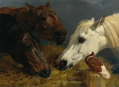 Farmyard Friends by Джон Фредерик Херринг-старший, 1847 — digital art print download