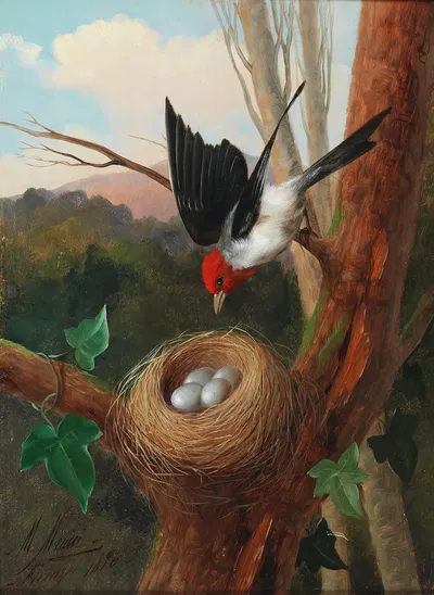 Vogel Bei Seinem Nest by Michelangelo Meucci — digital art print download