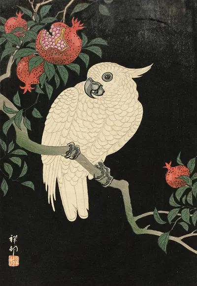 Cockatoo And Pomegranate by Ohara Koson — digital art print download