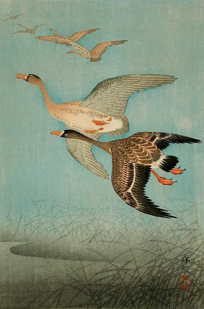 Flying Geese by Ohara Koson, 1926 — digital art print download