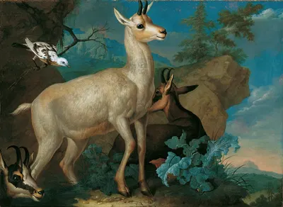 Drei Gemsen Und Eine Amsel by Philipp Ferdinand de Hamilton, 1722 — digital art print download