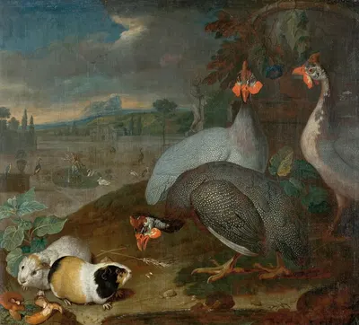 Perlhühner Mit Meerschweinchen by Philipp Ferdinand de Hamilton, 1725 — digital art print download
