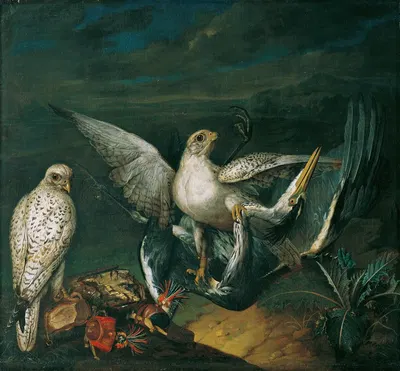 Weiße Jagdfalken Mit Einem Fischreiher by Philipp Ferdinand de Hamilton, 1748 — digital art print download