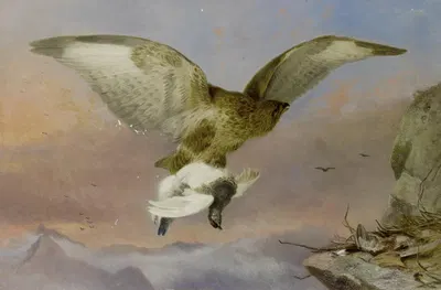 Buzzard With Ptarmigan by Richard Ansdell, 1876 — digital art print download