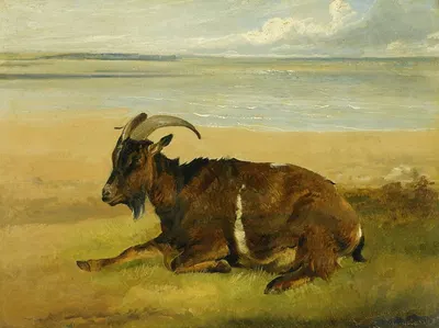 The Lone Mourner by Томас Сидни Купер, 1880 — digital art print download