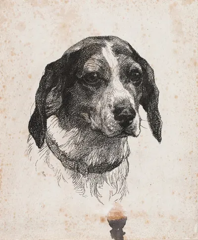 Et hundehoved by Alexander Blom, 1884 – 1885 — digital art print download