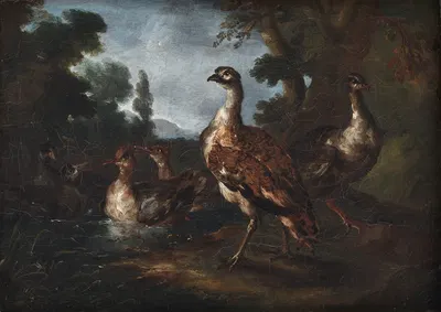 Landscape with Birds by Angelo Maria Crivelli, 1665 – 1730 — digital art print download