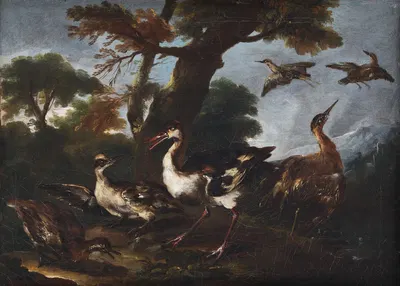 Landscape with Birds by Angelo Maria Crivelli, 1665 – 1730 — digital art print download