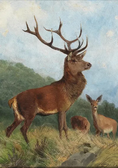 A Dominant Stag by Карл Фридрих Дейкер — digital art print download