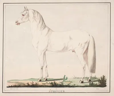 Hesten Springer by Christian David Gebauer, 1821 – 1822 — digital art print download