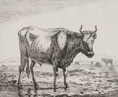 Stående ko ved vandhul by Кристиан Хольм, 1820 – 1821 — digital art print download