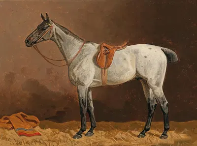 A White Horse in the Stable by Эмиль Волькерс, 1896 — digital art print download