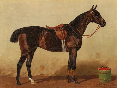 A Saddled Bay Horse in a Stable by Эмиль Волькерс, 1903 — digital art print download