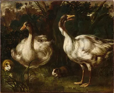 Ducks and Guinea Pigs by Эмилианская школа — digital art print download