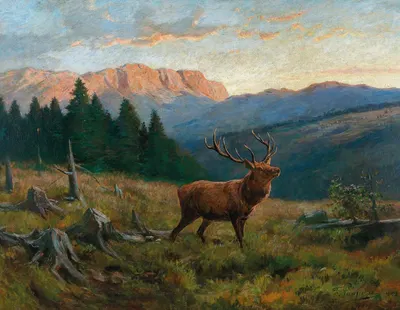 A Royal Stag at Dusk by Франц Ксавер фон Паузингер, 1902 — digital art print download