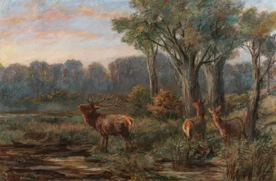 A Red Deer in a Glade by Franz Xaver von Pausinger — digital art print download