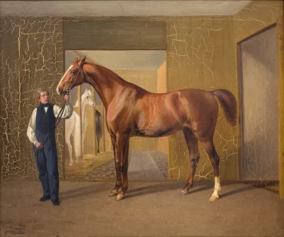 Lord Cochrane by Fritz Thomsen, 1833 - 1872 — digital art print download