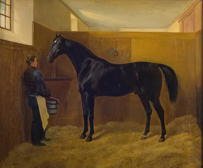 Zampa by Fritz Thomsen, 1839 - 1849 — digital art print download