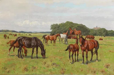Horses in a Meadow by Георг Карл Кох — digital art print download