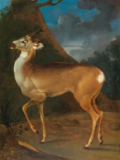 A roebuck by Heinrich Lihl — digital art print download