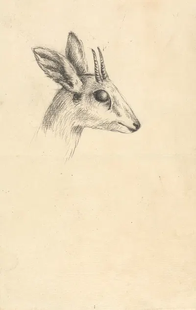 Antelope Head by Luigi Balugani — digital art print download