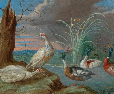 Ducks and other birds near a pond by Ян Ван Кессель Старший — digital art print download