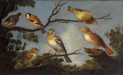 Birds on the Branches of a Tree by Ян Ван Кессель Старший — digital art print download