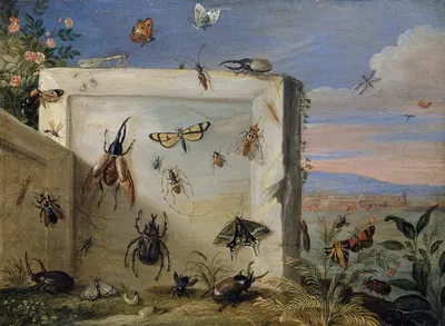 Insects on a Stone Slab by Ян Ван Кессель Старший — digital art print download