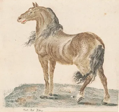 The Neighing Horse by Иоганн Тейлер — digital art print download