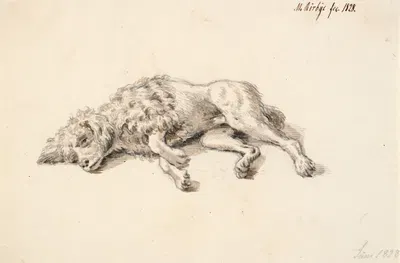 Liggende puddelhund by Martinus Rørbye, 1827 - 1828 — digital art print download