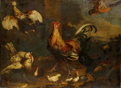 Commotion in the Chicken Run by Мельхиор д'Ондекайтер — digital art print download