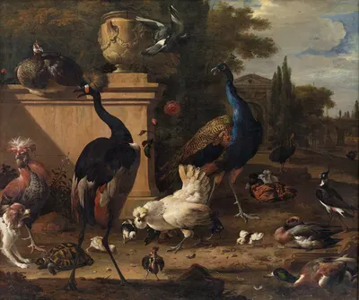 Hen Run at a Manor by Мельхиор д'Ондекайтер, 1651 – 1695 — digital art print download