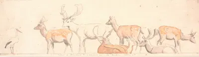 En rudel hjorte og en stork by П. К. Сковгорд, 1854 - 1858 — digital art print download