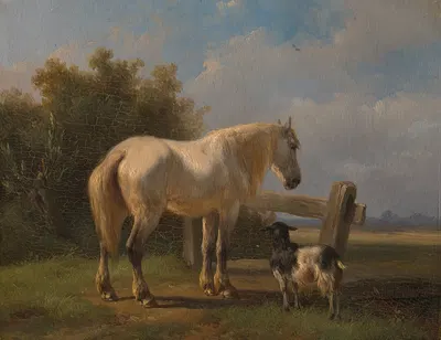 Horse in the meadow by Вутерус Версхур, 1832-1874 — digital art print download