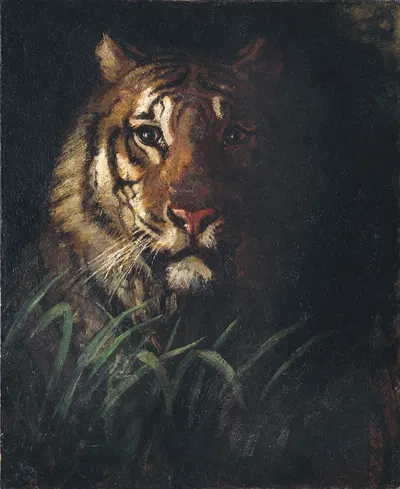 Tiger's Head by Аббот Хандерсон Тейер — digital art print download