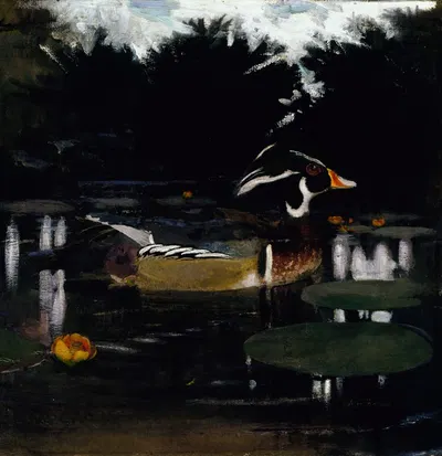 Male Wood Duck in a Forest Pool, study for book Concealing Coloration in the Animal Kingdom by Аббот Хандерсон Тейер —…