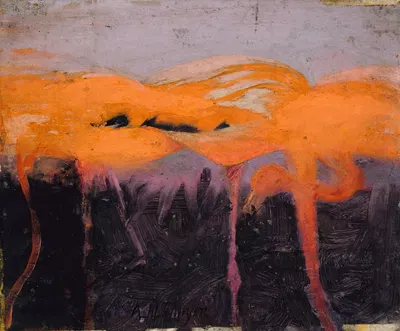 Red Flamingoes, study for book Concealing Coloration in the Animal Kingdom by Аббот Хандерсон Тейер — digital art print…