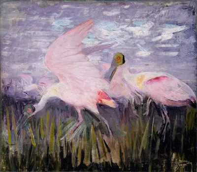 Roseate Spoonbills, study for book Concealing Coloration in the Animal Kingdom by Аббот Хандерсон Тейер — digital art print…