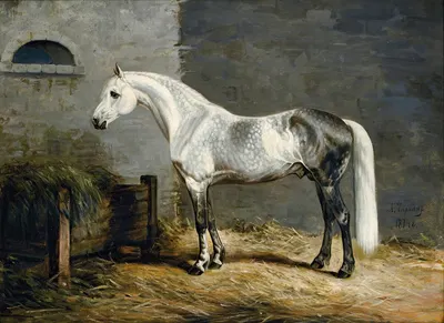 Granit by Alexander Dmitrievich Chirkin, 1874 — digital art print download