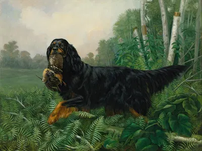 Gordon Setter In A Landscape by Alexander Pope Jr., 1885 — digital art print download