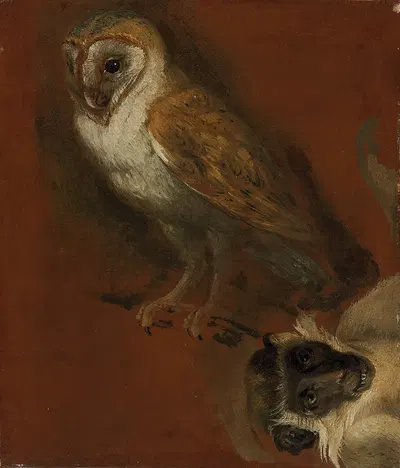 Study of an owl, with a fragmentary study of a monkey by Александр Франсуа Деспор — digital art print download