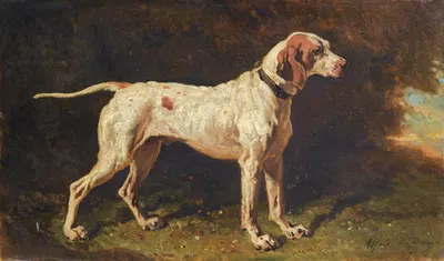 Chien À L'arrêt by Alfred De Dreux, 1857 — digital art print download