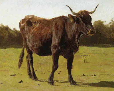 A Cow Grazing In A Meadow by Огюст Бонёр — digital art print download